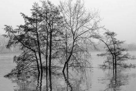 La photo du jeudi 1er février