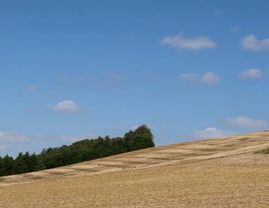 La photo du jeudi 6 décembre