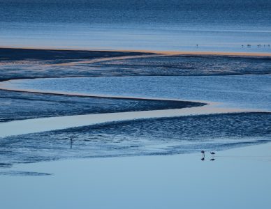 La photo du jeudi 11 juin 2020 (séance à distance)