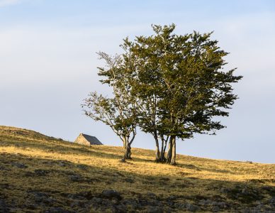 La photo du jeudi 14 octobre 2020