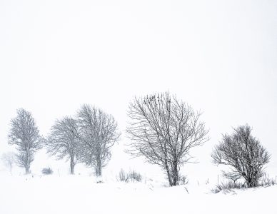 La photo du jeudi 7 janvier 2021