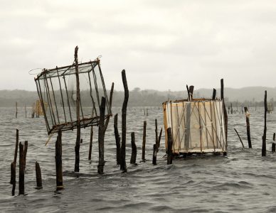 La photo du jeudi 8 avril 2021