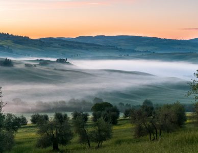 La photo du jeudi 8 décembre 2022