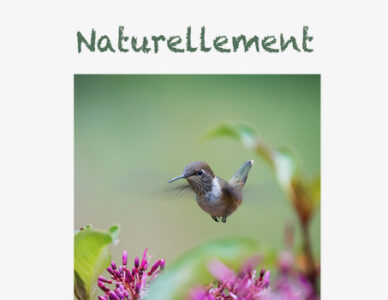 Exposition Naturellement…. – 17 au 27 janvier