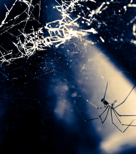 La photo du jeudi 2 octobre 2025