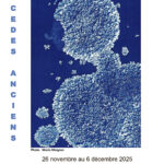 Affiche Expo procedes anciens 2025