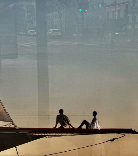 La photo du jeudi 13 novembre 2025