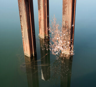 La photo du jeudi 15 janvier 2026