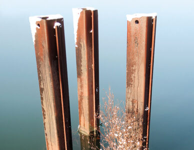 La photo du jeudi 15 janvier 2026