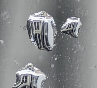 La photo du jeudi 8 janvier 2026