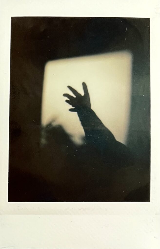 Agnès VERGNES - 1