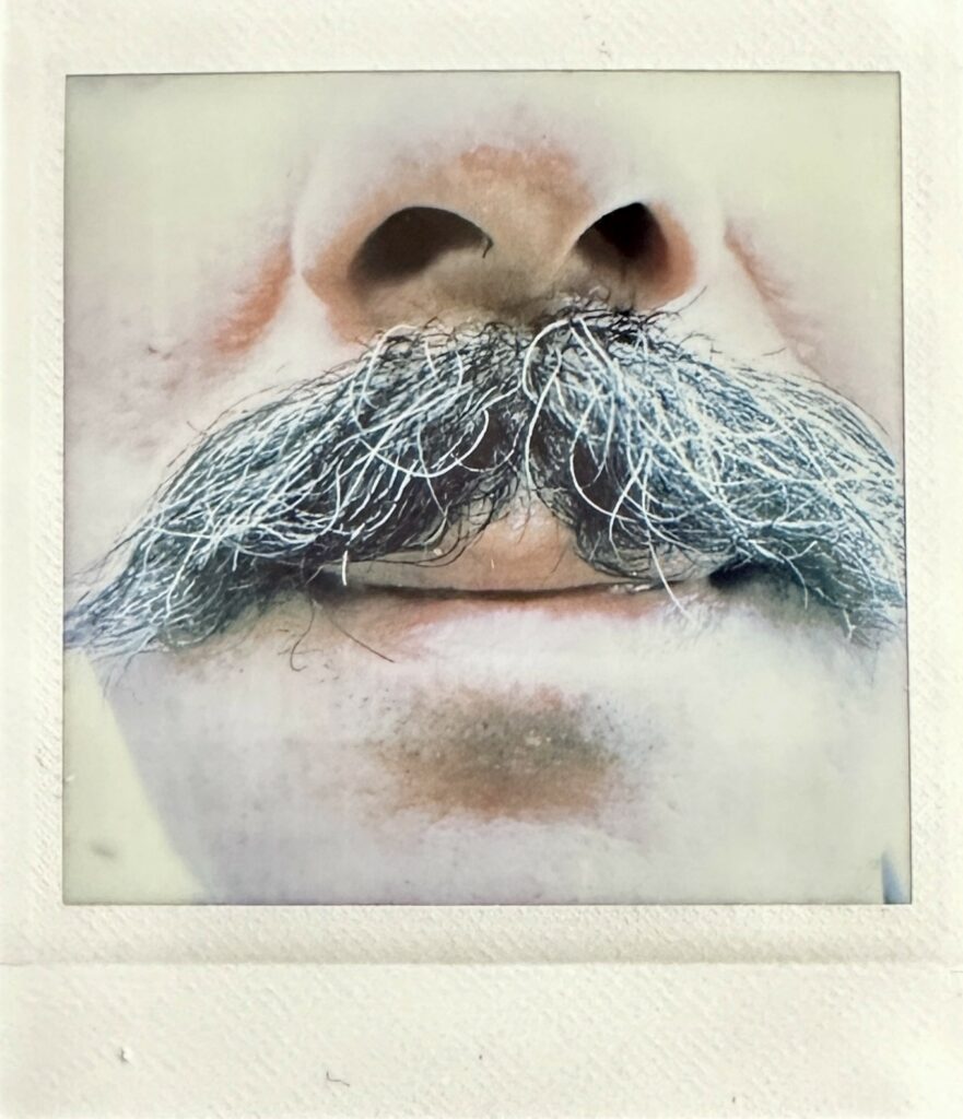 Annie ANDRIEU - Moustache