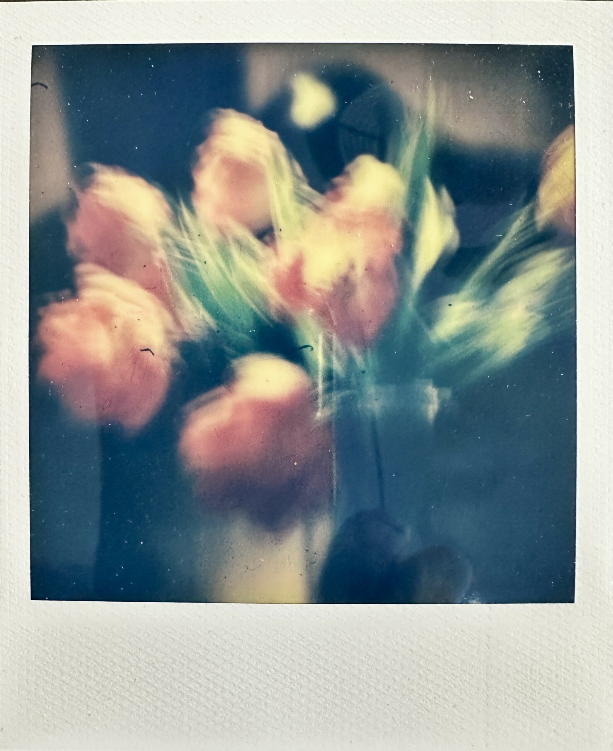 Annie ANDRIEU - Tulipes
