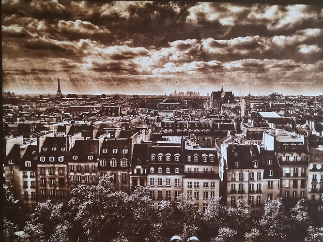 Alessandra Ligori - Van Dyke