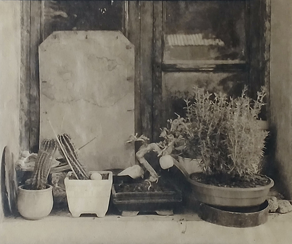 Christian Guyomarch - Palladium