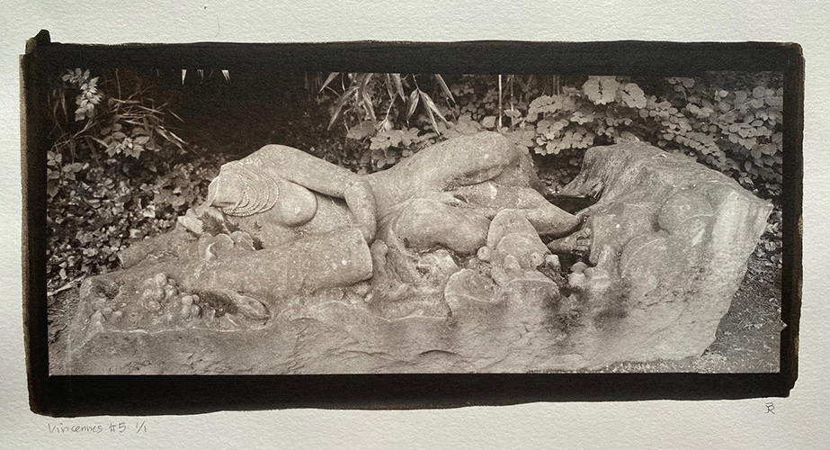 Jean-Bernard Roux - Ziatype 1