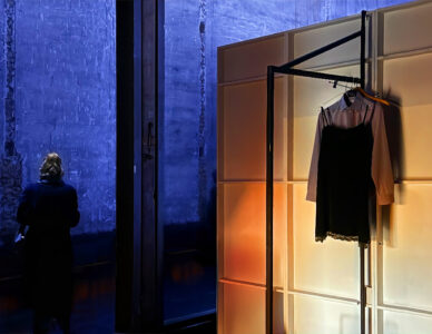 La photo du jeudi 20 novembre 2025