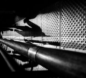 La photo du jeudi 6 novembre 2025