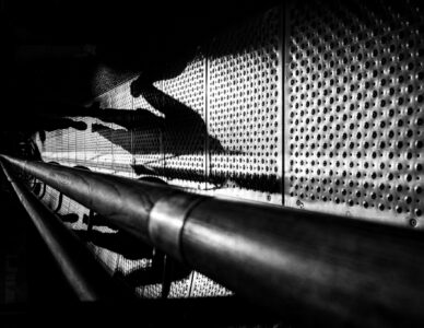 La photo du jeudi 6 novembre 2025