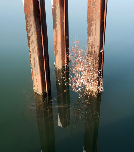 La photo du jeudi 15 janvier 2026