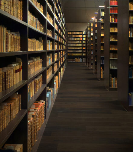 La photo du jeudi 22 janvier 2026