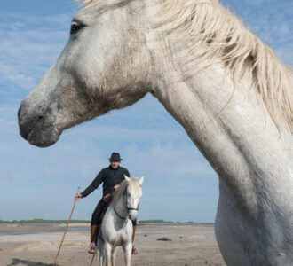 La photo du jeudi 12 février 2026