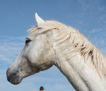 La photo du jeudi 12 février 2026