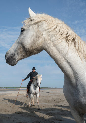 La photo du jeudi 12 février 2026