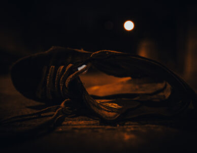 La photo du jeudi 19 février 2026