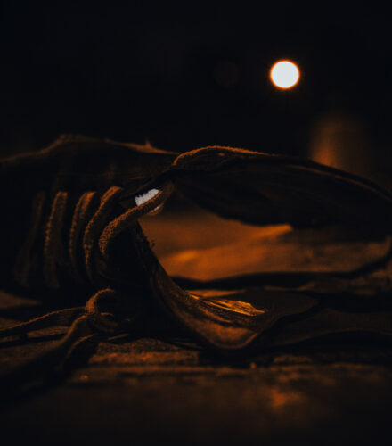 La photo du jeudi 19 février 2026