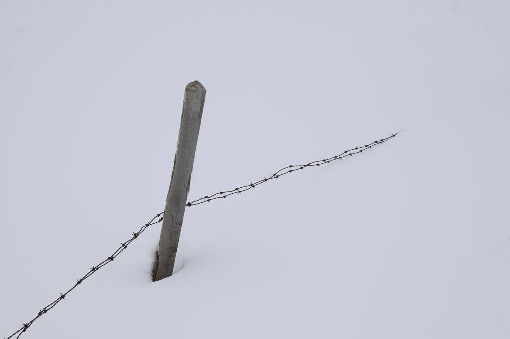 Nadia El Murr - Mizutani