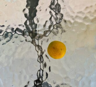 La photo du jeudi 12 mars 2026