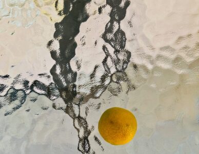 La photo du jeudi 12 mars 2026